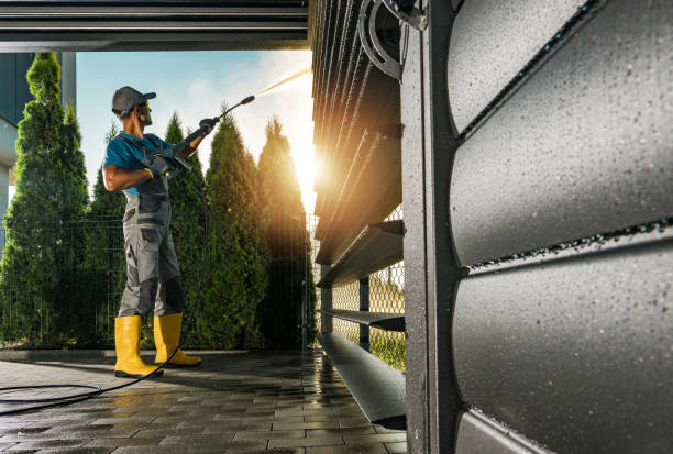 Best Roof Washing  in Lester Prairie, MN